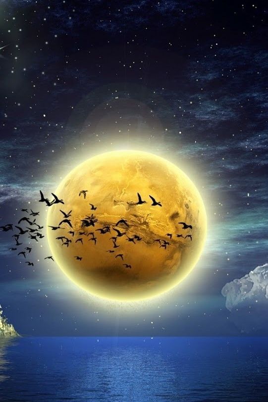 andrew birds in front of moon