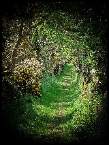 conversations beau vortex nature in ireland