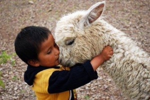 conversations compassion boy with lamb