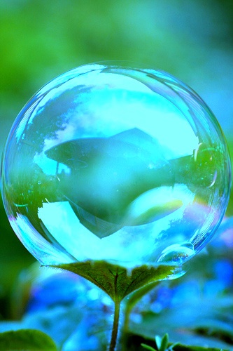 conversations crystal ball in nature