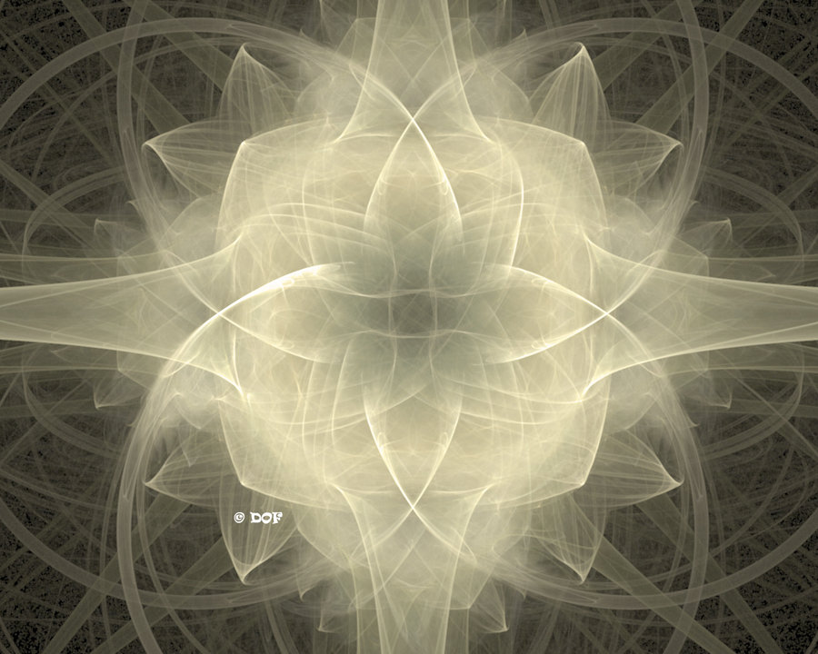 conversations lotus_of_1_000_petals_by_dragonofforest-d35sklu