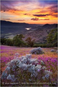 conversations meadow and rolling hills