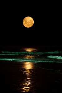 conversations night beach beautiful green water