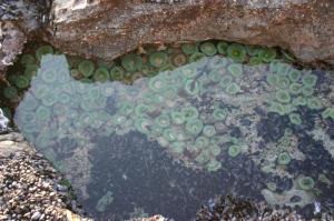 conversations pools in rocks ca