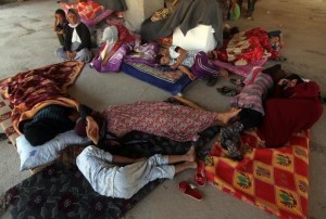 conversations yazidis in safe place in shock